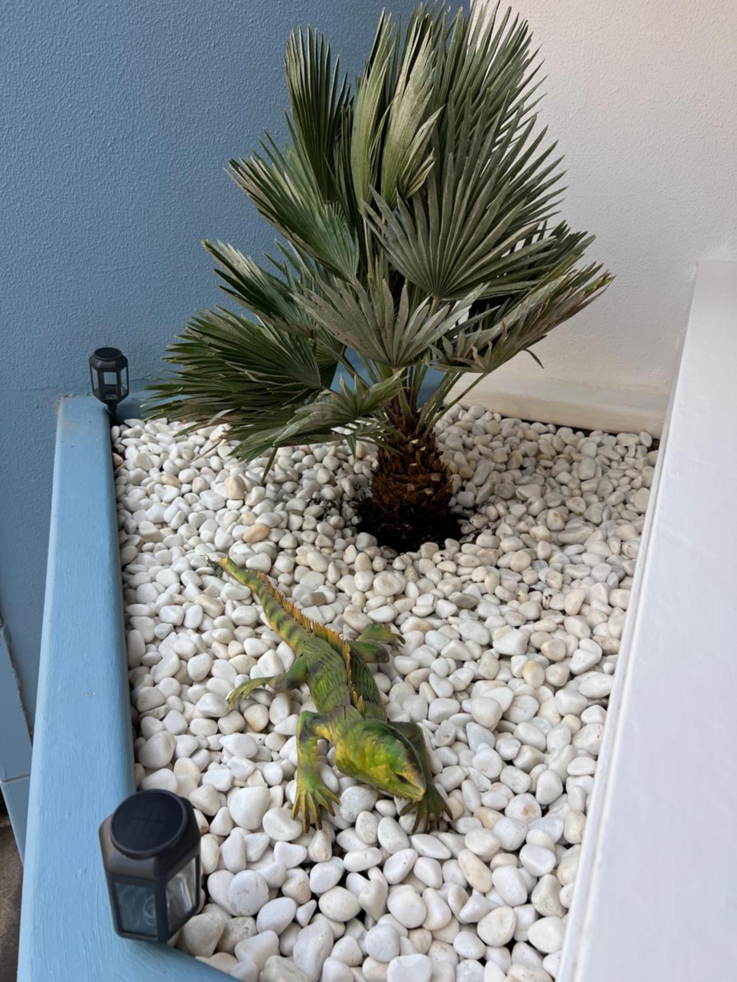 Air Conditioning, Private Parking And Fully Equipped Kitchen In Hotel Room In Golf Del Sur, Tenerife Σαν Μιγκέλ ντε Αμπόνα Εξωτερικό φωτογραφία